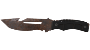 Rust Coat image
