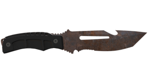 Rust Coat image