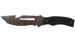 Rust Coat image