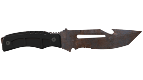 Rust Coat image