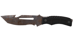 Rust Coat image