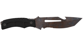 Rust Coat image