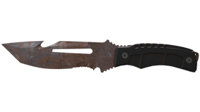 Rust Coat image