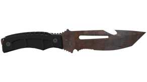 Rust Coat image