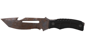 Rust Coat image