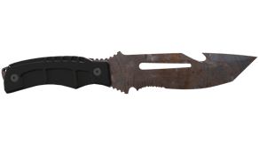 Rust Coat image