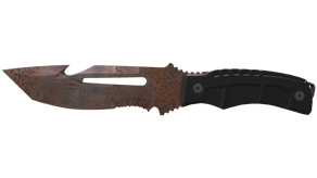 Rust Coat image