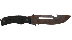 Rust Coat image