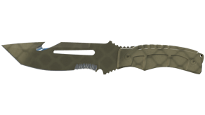 Safari Mesh image