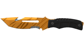Tiger Tooth image