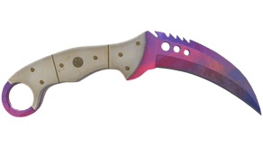Doppler Phase 1 image