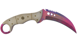 Doppler Phase 2 image