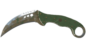 Forest DDPAT image