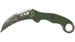 Forest DDPAT image