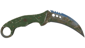 Forest DDPAT image
