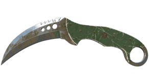 Forest DDPAT image