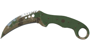 Forest DDPAT image