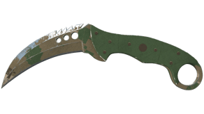 Forest DDPAT image