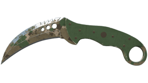 Forest DDPAT image