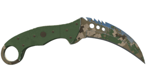 Forest DDPAT image