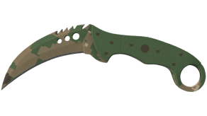 Forest DDPAT image