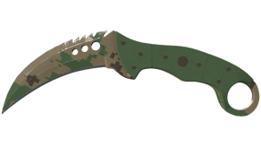 Forest DDPAT image