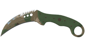 Forest DDPAT image
