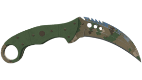Forest DDPAT image