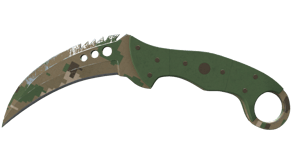 Forest DDPAT image