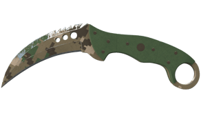 Forest DDPAT image