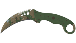 Forest DDPAT image