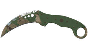 Forest DDPAT image