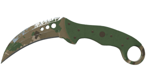 Forest DDPAT image