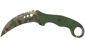 Forest DDPAT image