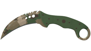 Forest DDPAT image