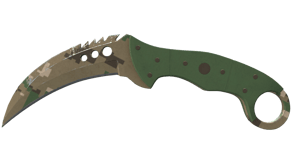 Forest DDPAT image
