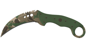Forest DDPAT image