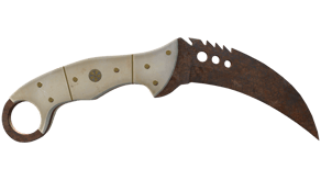 Rust Coat image