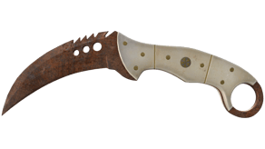 Rust Coat image