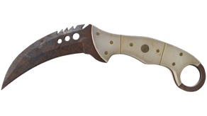 Rust Coat image
