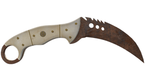 Rust Coat image