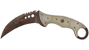 Rust Coat image