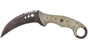 Rust Coat image