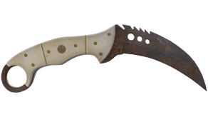 Rust Coat image