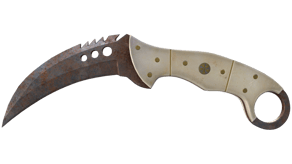 Rust Coat image