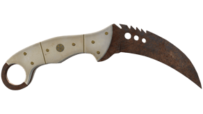 Rust Coat image