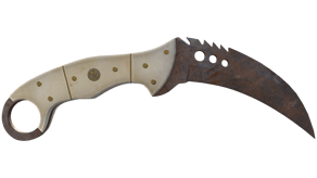 Rust Coat image