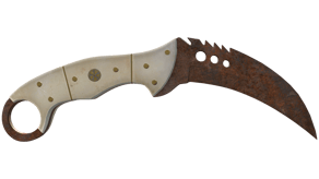 Rust Coat image