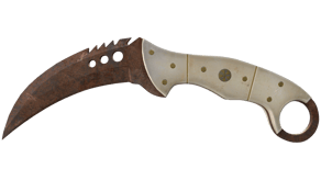 Rust Coat image