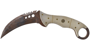 Rust Coat image